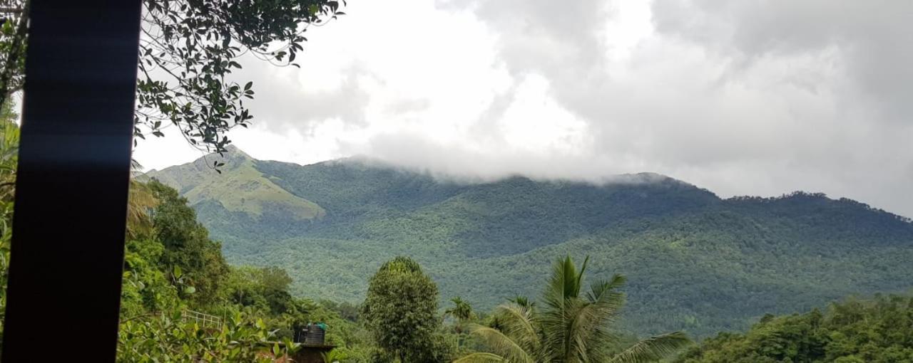 Wayanad Doubletree Villa 维特利 外观 照片