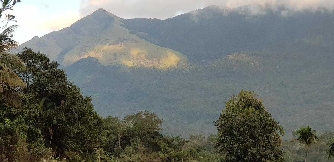 Wayanad Doubletree Villa 维特利 外观 照片
