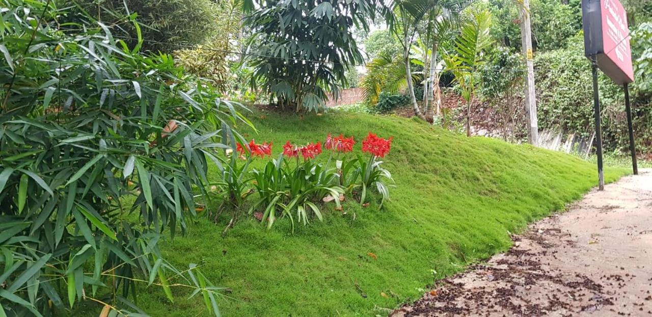 Wayanad Doubletree Villa 维特利 外观 照片