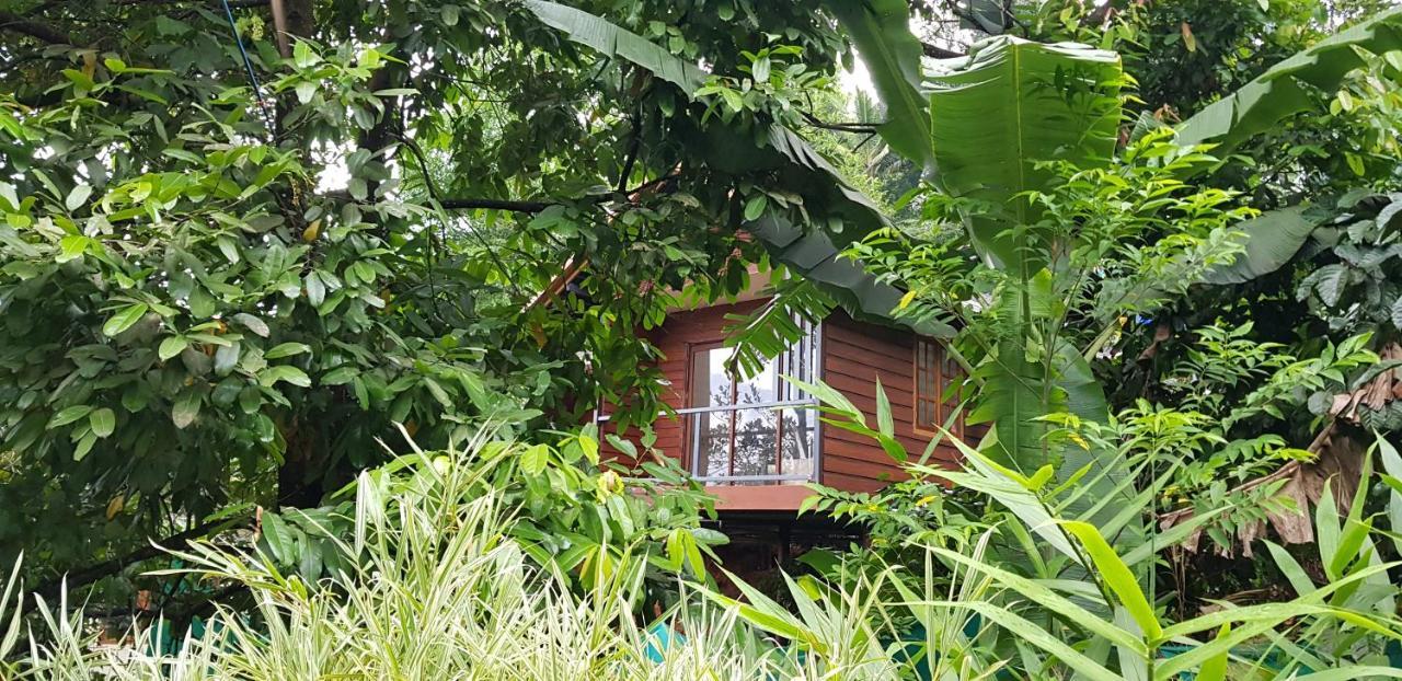 Wayanad Doubletree Villa 维特利 外观 照片