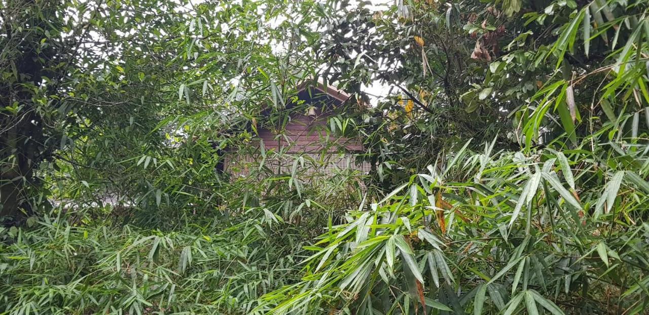 Wayanad Doubletree Villa 维特利 外观 照片
