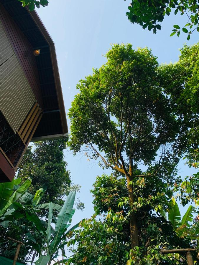 Wayanad Doubletree Villa 维特利 外观 照片