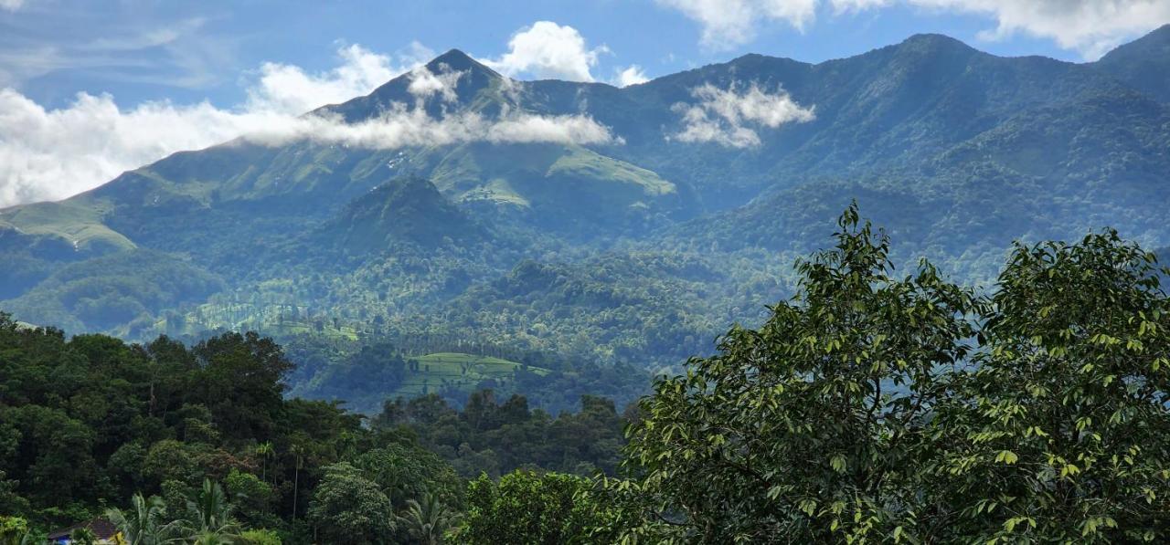 Wayanad Doubletree Villa 维特利 外观 照片
