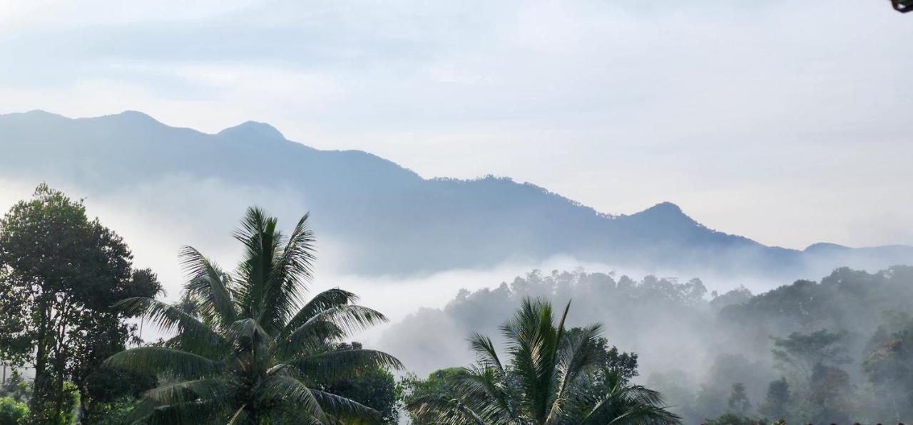 Wayanad Doubletree Villa 维特利 外观 照片